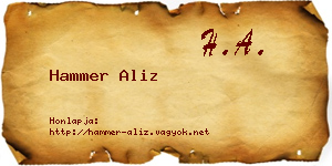 Hammer Aliz névjegykártya